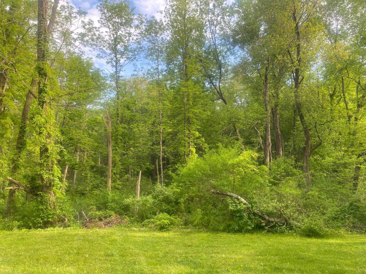 Newly Renovated 3Br Hudson Valley House Ulster Park Esterno foto